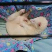238の画像