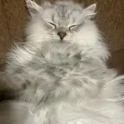 そらじろう