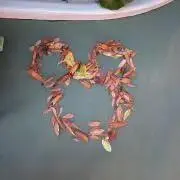 りの画像