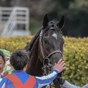 ayapeikkuの画像