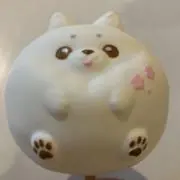 ぷぅりん⭐︎詰め期間1ヶ月の画像