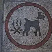 tadace