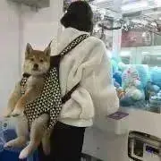 Kikoの画像