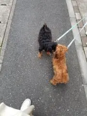 まさの画像