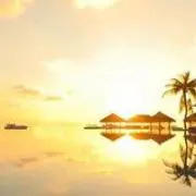 ねむなむむの画像