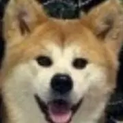 エンジュの画像