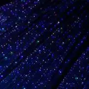 Momoの画像
