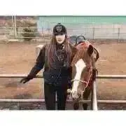 こんの画像