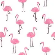 ハッピー