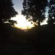 ユニーリリー