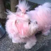 きゅるりん♡໒꒱断捨離強化中！！