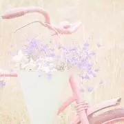 ももこの画像