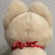 SIROの画像