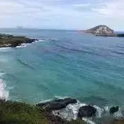 むにっくの画像