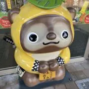 ぴの画像