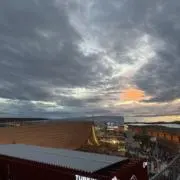 ぺんぎんの画像