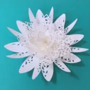 のんたんの画像
