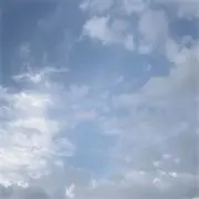 かめの画像