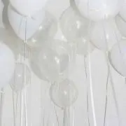 あんずの画像