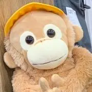 ペち( 'ω')推し活グッズ整理中の画像