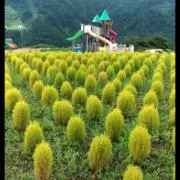 tomoz☆の画像