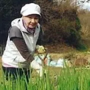 きぬゑ