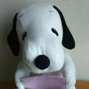 あちゃこの画像