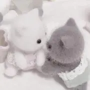 aya