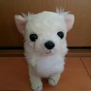 ママちゃん
