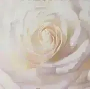 ❤︎ りり ❤︎ いつも有難うございますの画像