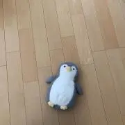 SORASIDOの画像