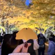 りんごの画像