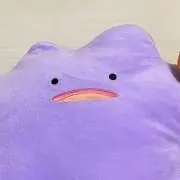 もの画像