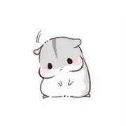 Kocchanの画像