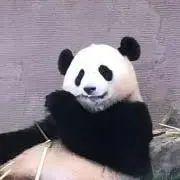 ゆーこママの画像