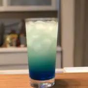 アイアイの画像