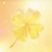mican8 ✨クリアランスSALE✨の画像