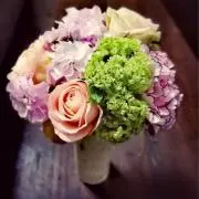 きなぽんの画像