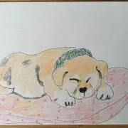 TOSHIYANの画像