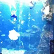 つむつむ