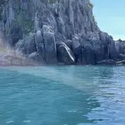 にっしーの画像