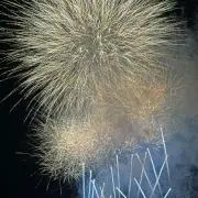 ゆきの画像