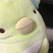 コぺんの画像