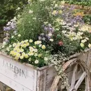 ＊tsuー♪＊の画像