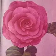 botanical❁lover 断捨離中の画像