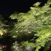 こころ　!プロフィール必読!の画像