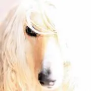 まゆまゆ