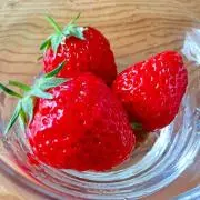 さーこ