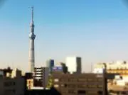 itasin2000の画像