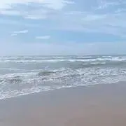 ティガーの画像
